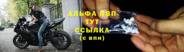 винт Аркадак