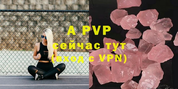 гашик Кулебаки