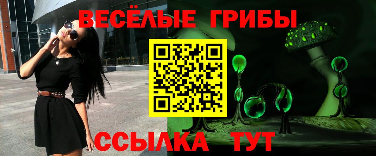 Псилоцибиновые грибы ЛСД  Псилоцибиновые грибы Cubensis  Черняховск  Вход с VPN 