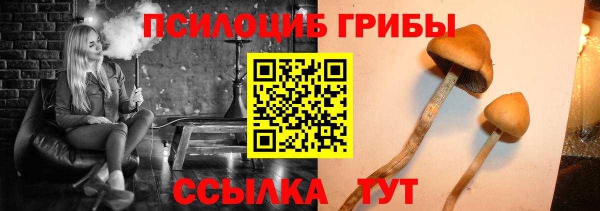 Галлюциногенные грибы Magic Shrooms Черняховск